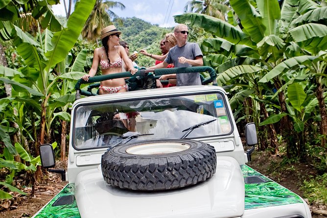 Rainforest Hike & Waterfall Safari St. Lucia From Castries - A short rainforest walk with a wet finish