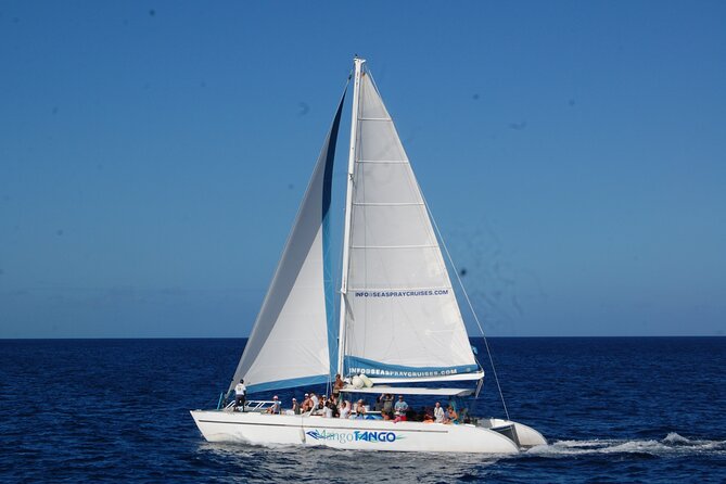 Rodney Bay to Soufriere Catamaran Transfer - What the onboard atmosphere may be like