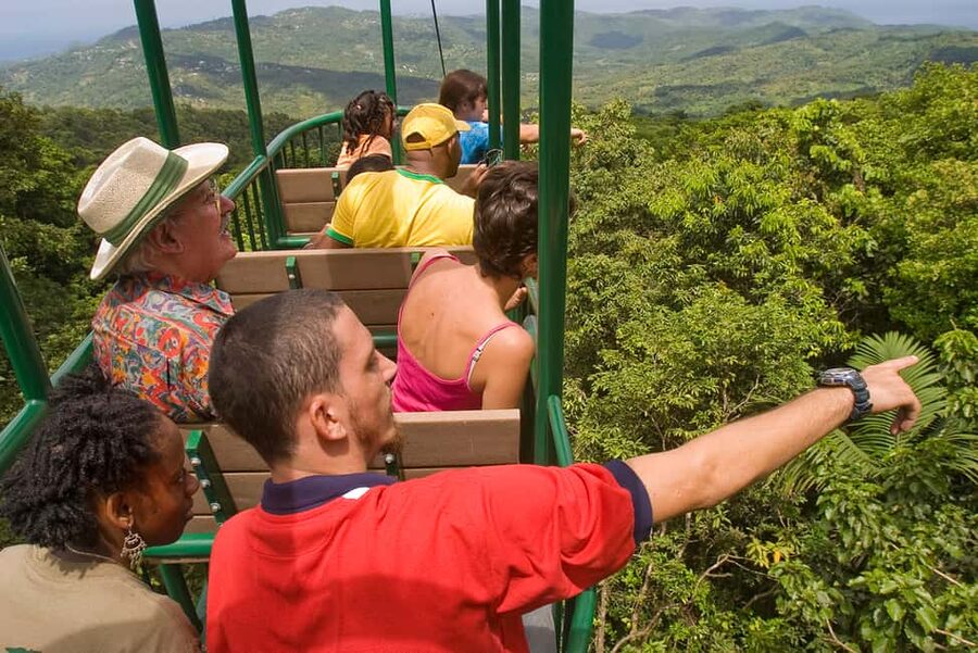 Saint Lucia: Aerial Tram Tour at Rainforest Adventures - Riding above the Castries Waterworks Reserve