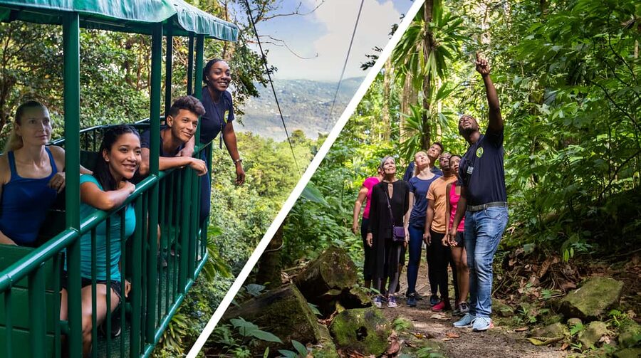 Saint Lucia: Aerial Tram Tour at Rainforest Adventures - Walking the Fern Nature Trail