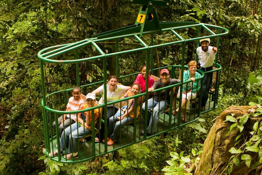 Saint Lucia: Aerial Tram Tour at Rainforest Adventures - Why the open-air tram works well