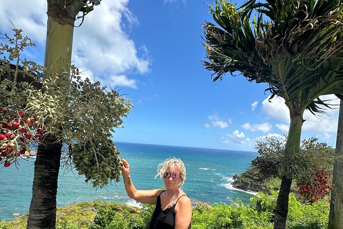 Saint Lucia Beach Tour with Free Entry - Adding Pigeon Island National Landmark