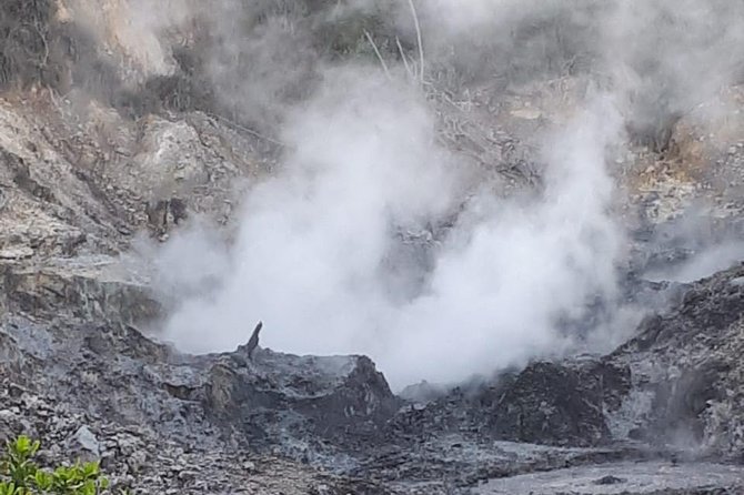 Saint Lucia Sulphur Springs Rejuvenating Mud Bath Tour - Snacks, drinks, and the $132 price