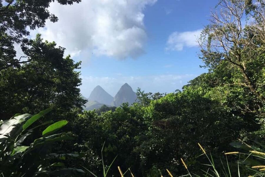 Saint Lucia: Tet Paul Nature Trail Hiking Tour & Beach - Walking the Tet Paul Nature Trail