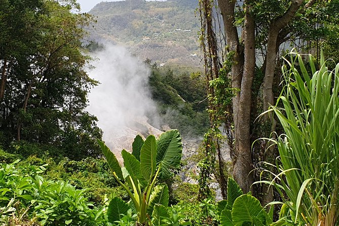 Scenic Tour of Soufriere - Toraille Waterfall offers the best chance to cool off