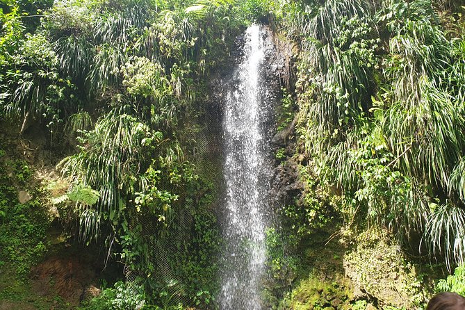 Scenic Tour of Soufriere - Roseau Beach and the banana plantation show another side of St. Lucia