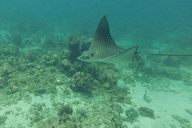 SeaTrek St. Lucia - The 25-minute underwater walk