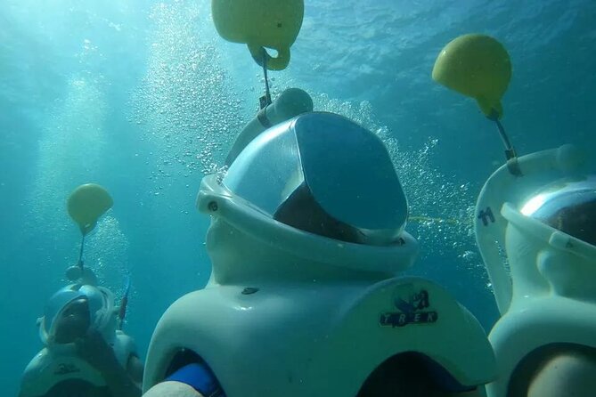 SeaTrek St. Lucia - Sea life and the underwater sights