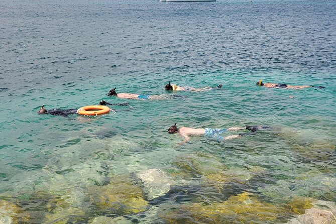 Snorkeling at Pigeon Island - Searching Pigeon Island’s reefs for marine life