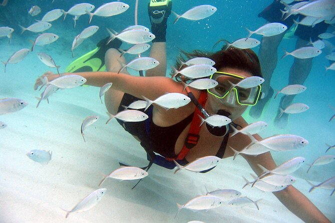 SNUBA Saint Lucia - Key points about SNUBA Saint Lucia