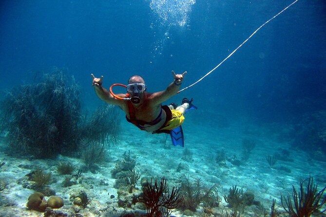 SNUBA Saint Lucia - Marine life, visibility, and the luck of the day