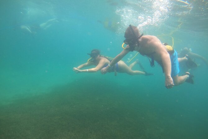SNUBA Saint Lucia - Pickup, resorts, and planning your day