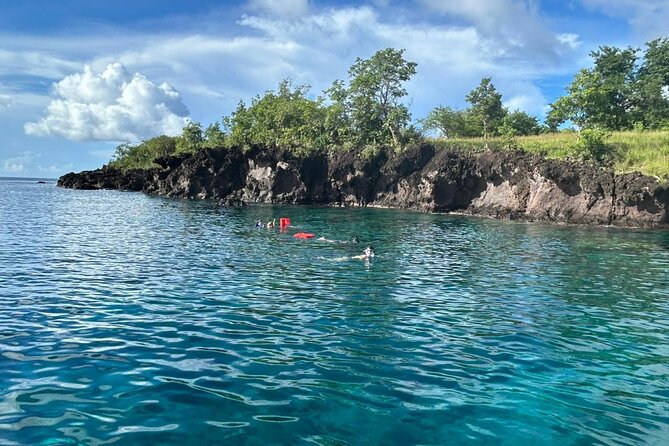 Soufriere Boat Tour Experience - Toraille Waterfall and a short freshwater swim