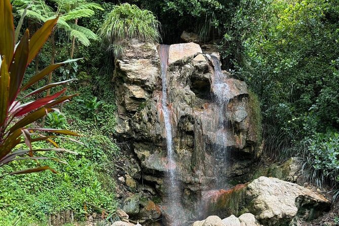 Soufriere Catamaran Excursion & Sapphire Falls Hike - Why this St. Lucia day works so well