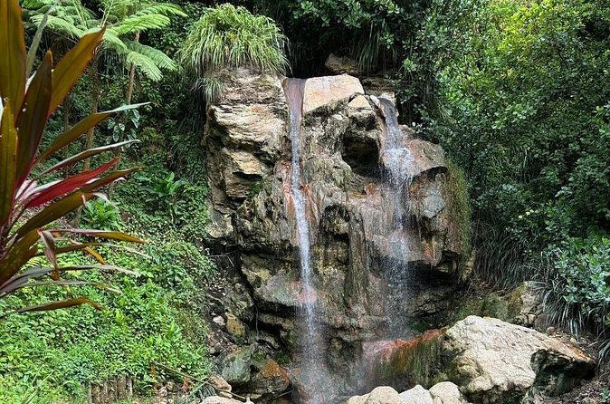 Soufriere Catamaran Excursion & Sapphire Falls Hike - Who should book this excursion?