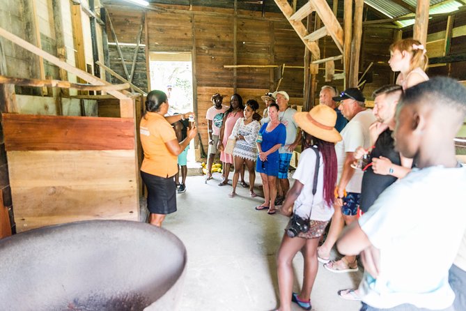 Soufriere Excursion with Rum & Chocolate Tasting - Marigot Bay and the ride home