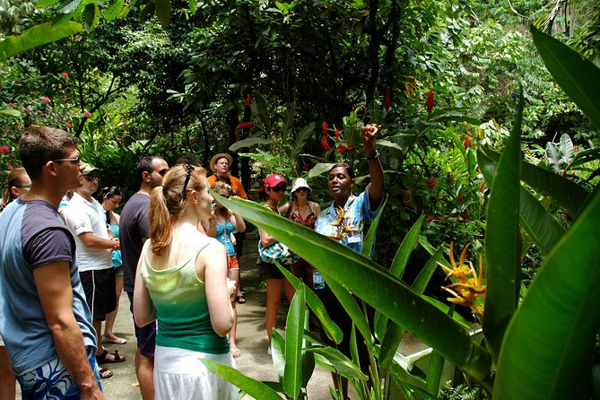 Soufriere Island Delight - Sulphur Springs and the drive-in volcano