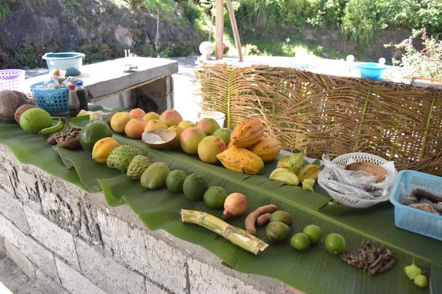 Soufriere: Private Day Tour - Tet Paul Nature Trail and the Pitons