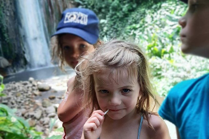 Soufriere Special Day Tour - What the $100 price gets you