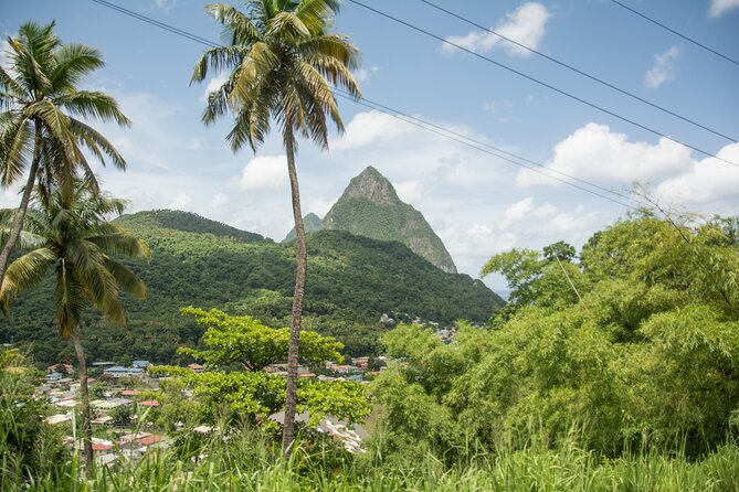 Soufriere Volcano Experience - Sulphur Springs and the mud-bath choice