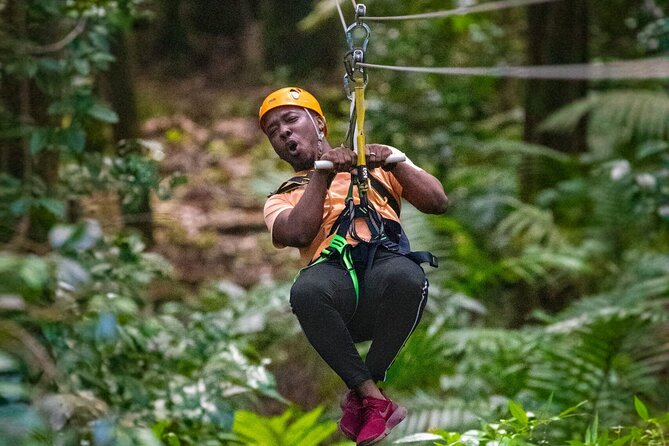 St. Lucia 3 in 1 Combo: Aerial Tram, Rainforest Trail & Zipline - Three rainforest experiences in one morning
