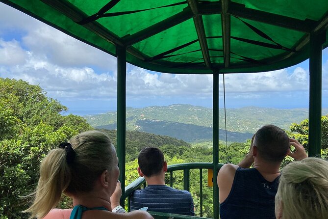 St. Lucia 3 in 1 Combo: Aerial Tram, Rainforest Trail & Zipline - The trail adds meaning to the scenery