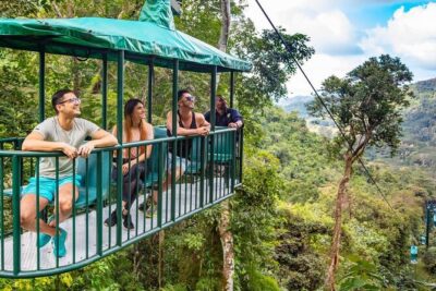 St. Lucia 3 in 1 Combo: Aerial Tram, Rainforest Trail & Zipline