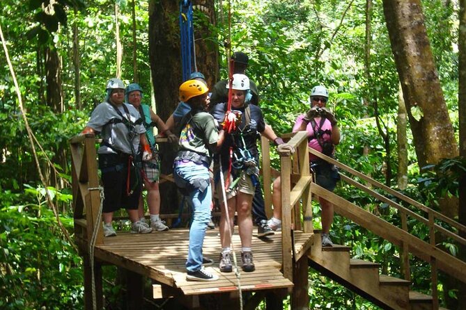St. Lucia 3 in 1 Combo: Aerial Tram, Rainforest Trail & Zipline - Who will enjoy this outing most