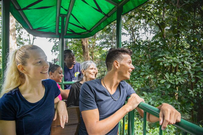 St. Lucia Aerial Tram Tour at Rainforest Adventures - The 10-minute orientation and first stop