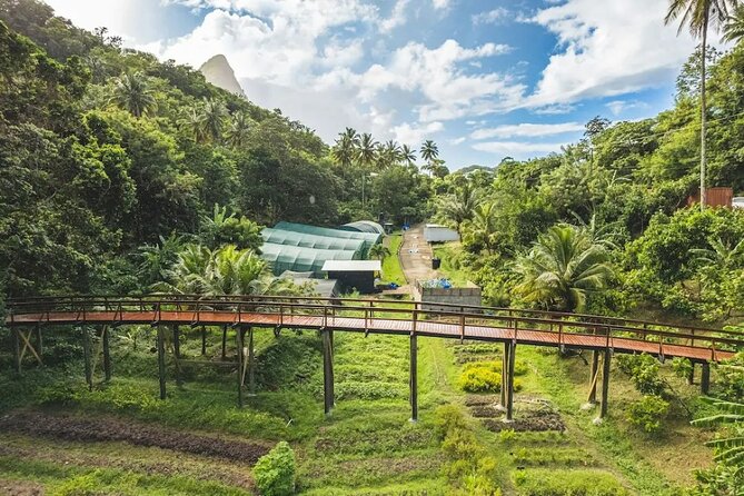 St Lucia Airport Transfer to Hotel Chocolat - Leaving Hewanorra Airport without the usual fuss