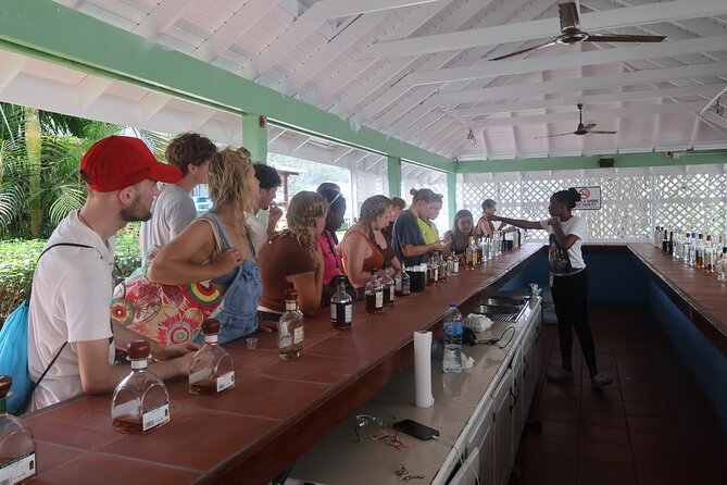 St Lucia ATV Tour : Waterfall, Plantation, Beach and Distillery - Meeting Farmer Peter among the banana plants
