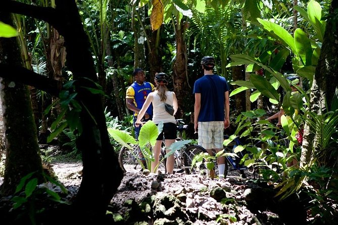 St Lucia Bike and Hike - Booking details that affect your day