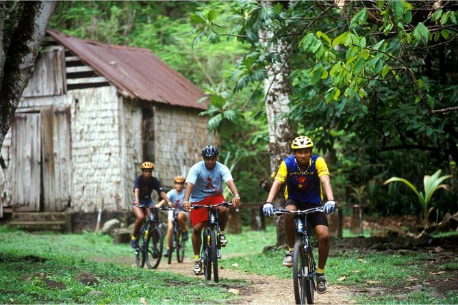 St Lucia Bike and Hike - Learning about native plants and island spices