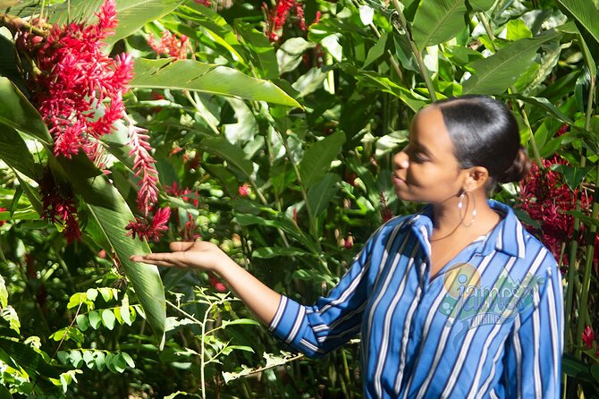 St. Lucia Botanical Gardens and Waterfall Tour Groups only - Is $88 a fair price?