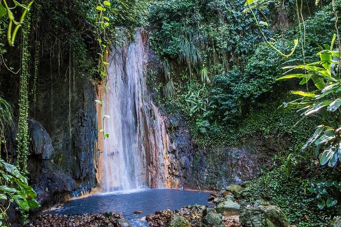 St. Lucia Botanical Gardens and Waterfall Tour Groups only - Diamond Botanical Gardens and the waterfall stop