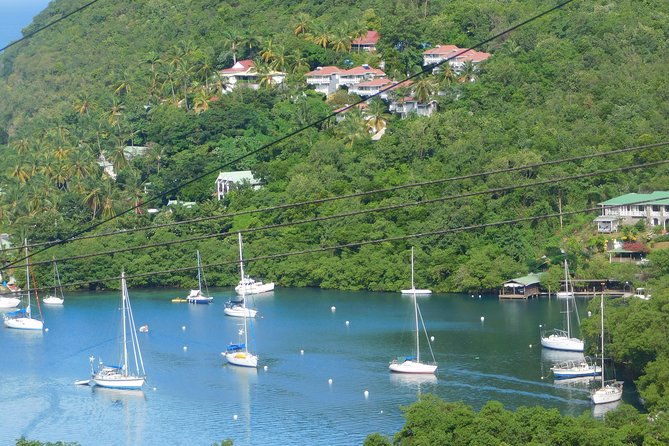 St Lucia Castries to Pitons Tour - Guides can make or break the day