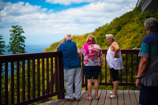 St Lucia Cruise Ship Excursion - Tet Paul Nature Trail delivers the Piton views
