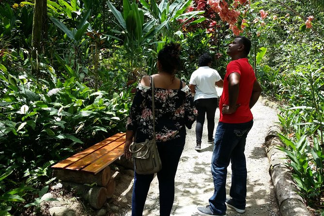 St Lucia Diamond Mineral and Mud Baths Plus Waterfall Adventure - Price, timing, and who gets good value