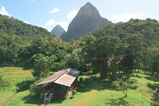 St. Lucia Morne Coubaril Estate Zipline Experience - What happens during the one-hour course