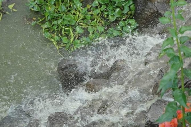 St Lucia Northern Island Tour - Beaches and a look at local life