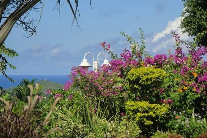 St Lucia Northern Island Tour - The private vehicle is part of the value