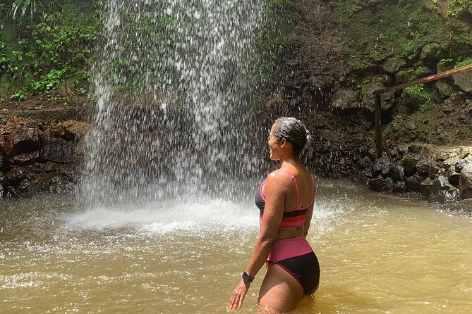St Lucia Pitons Waterfalls and Mud Bath Experience. - Who should book this St Lucia tour