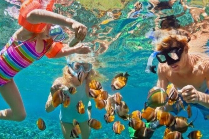 St Lucia Private Boat Tour/Sightseeing/Snorkeling - Why a private boat works so well in St. Lucia