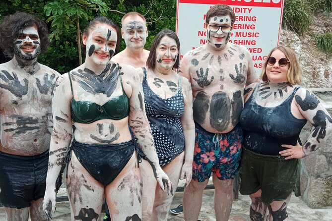 St. Lucia Private Island Tour (Groups of 4) - Why a private St. Lucia tour works well