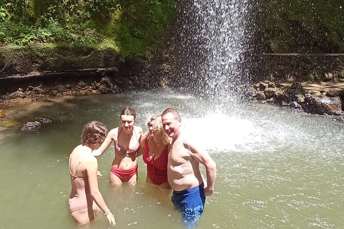 St. Lucia Private Island Tour (Groups of 4) - Value, group size, and who should book