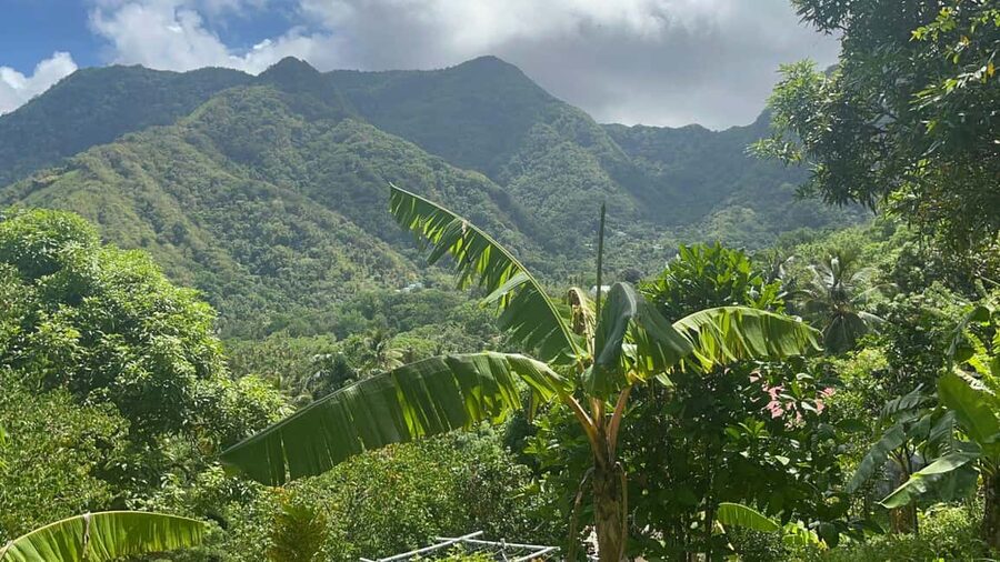 St. Lucia: Safi Estate, Volcano Waterfalls Experience - A 90-minute walk through Safi Estate