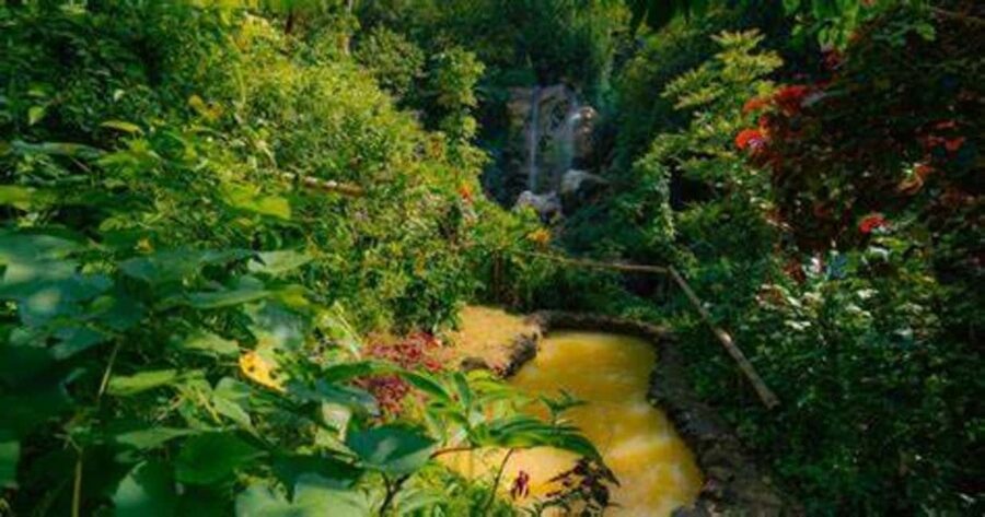 St. Lucia: Safi Estate, Volcano Waterfalls Experience - Fruit picking, coconut water, and estate life