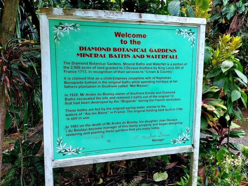 St. Lucia: Scenic Nature Hike & Botanical Garden Escape - Key points to know before booking