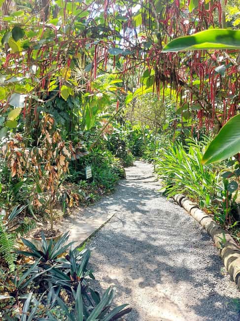 St. Lucia: Scenic Nature Hike & Botanical Garden Escape - Why this tour works for a day in southern St. Lucia