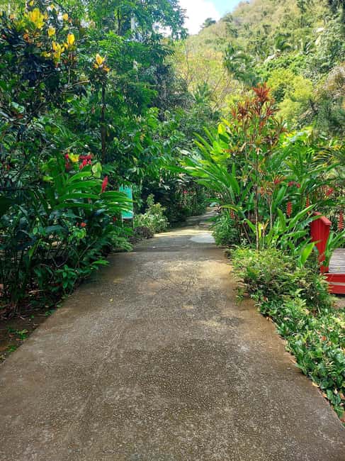 St. Lucia: Scenic Nature Hike & Botanical Garden Escape - Soufriere delivers the big views